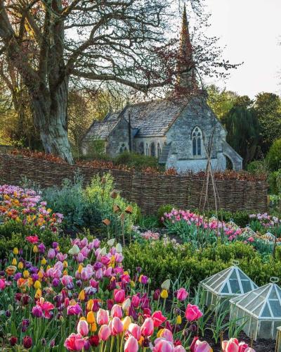 FB_IMG_1651099154907