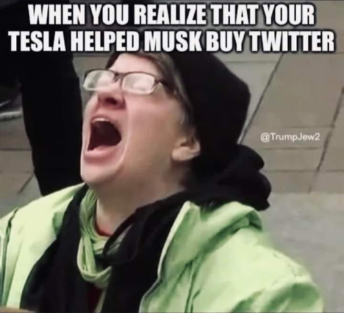 M Tesla