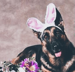 F585C91E-568C-429C-A4D8-326CAB9978DA