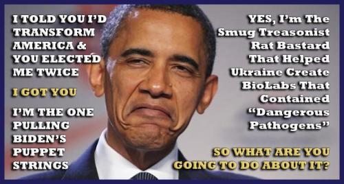 1-1-A-A-A-A_1-A-A-BHO-TREASONIST-1