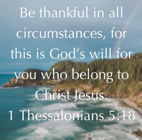 photo5071130095149755211