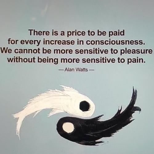 4BF553FB-776C-4511-81F8-9443F4CDE869