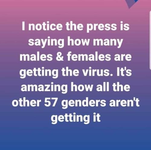 TRUMP.Q.GENDERBS.