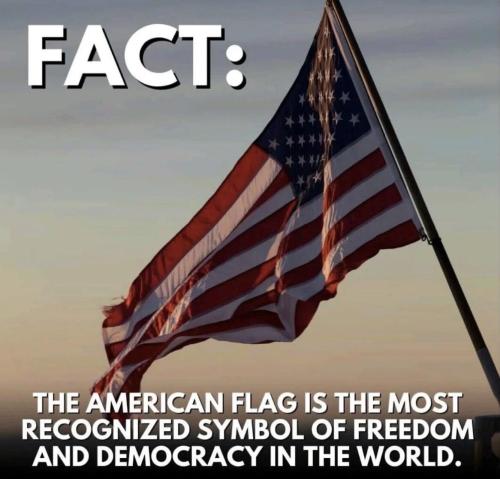 M Fact