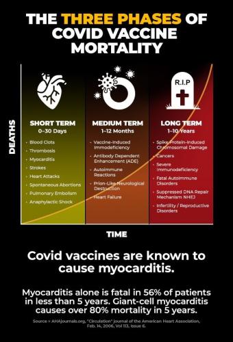 3 phases of covid vaccine mortality
