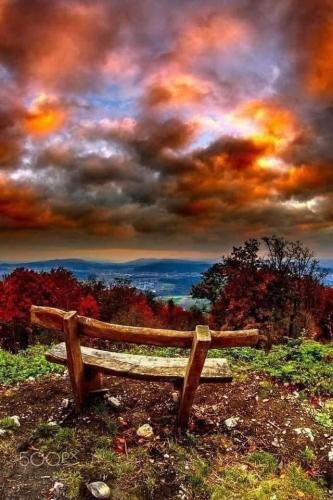 FB_IMG_1619481638344