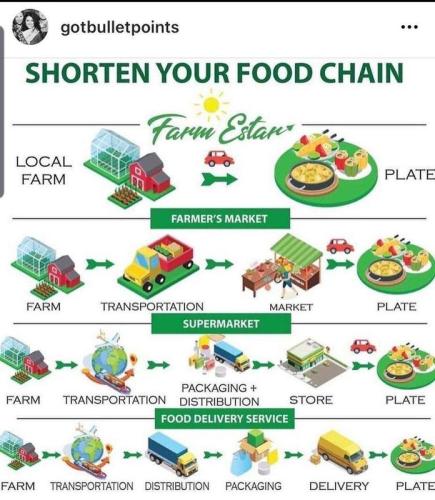 food chain