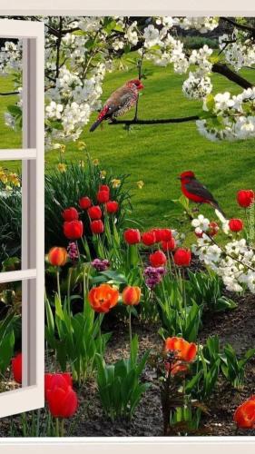 FB_IMG_1620492370916