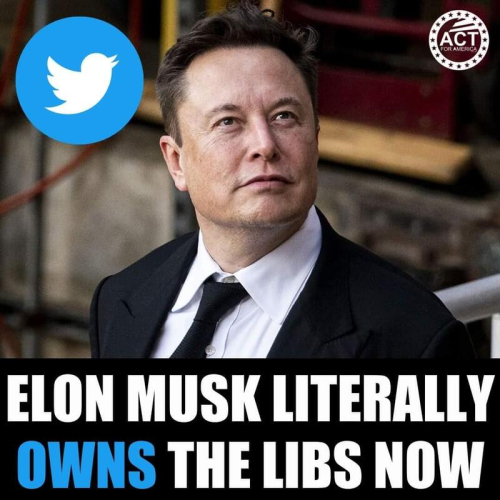 musk owns libs