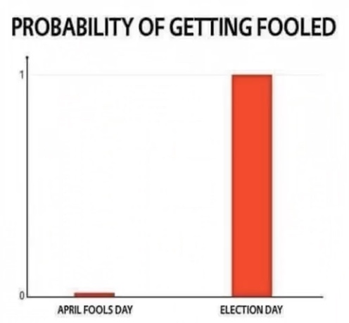 Election fools