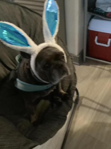 619EF468-83F7-4CB3-A62B-57E6A875F1DF