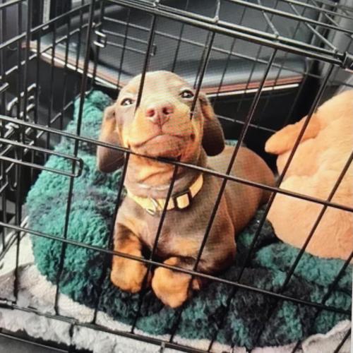 CFC9AE08-6B1F-4E26-8B0B-8DA742054E29