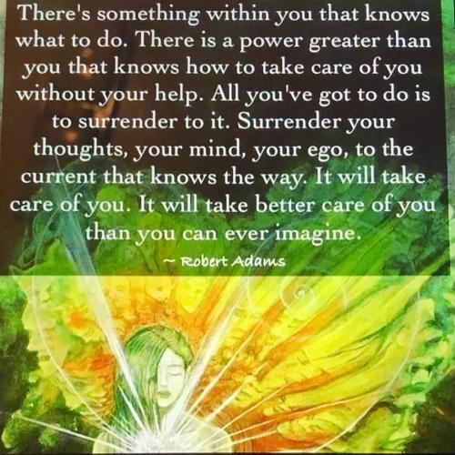 A8A7D9A0-C502-4462-A6FF-A6F655886BB2