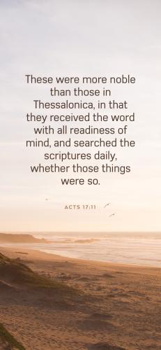 22261707-32C6-49B6-B0E8-C73F2BFEE0F8