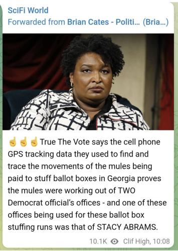 TRUE THE VOTE