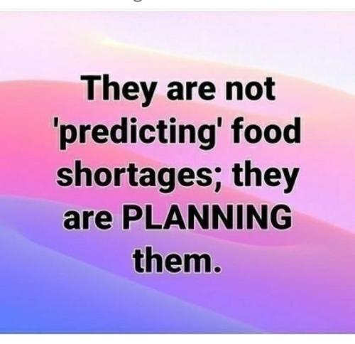 Screenshot_20220402-143038_MAGA Hub