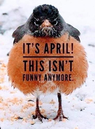 FB_IMG_1650502351181