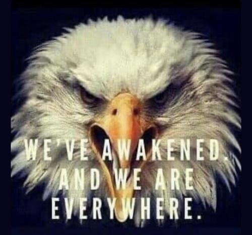 339067A1-F0E9-4FF0-8BB2-2FC58D469E11