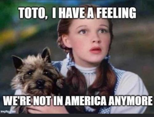 Not in Kansas
