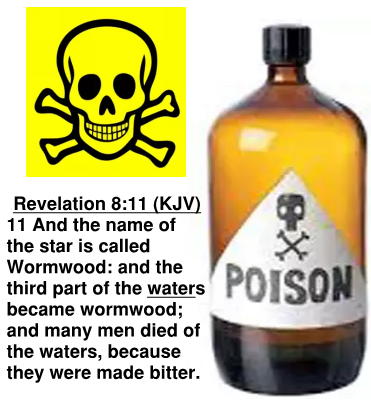 31 Rev.8.11