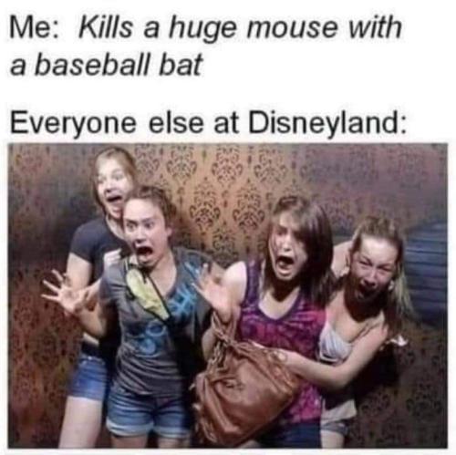 Disneyland