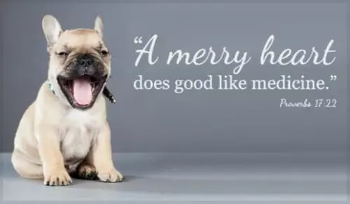 15210-merry-heart-800x400