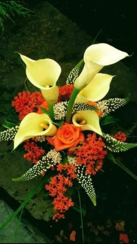 FB_IMG_1620271473865