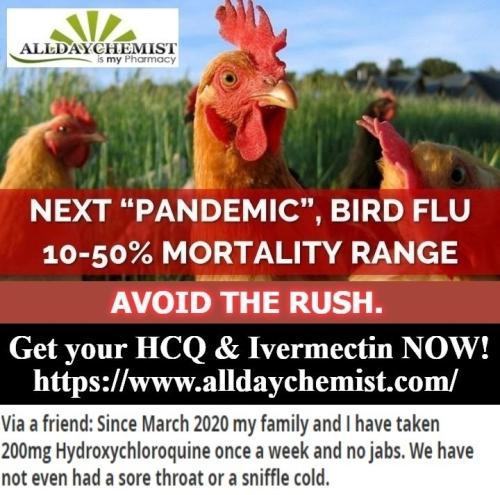 Next Pandemic Bird flu
