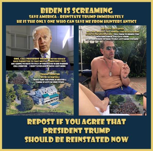 1-1-A-A-A-A_1-A-A-A-BIDEN-BUNGLER-BIG-GUY-PSYCH-WARD-HUNTER-WELCOME-HOME-1