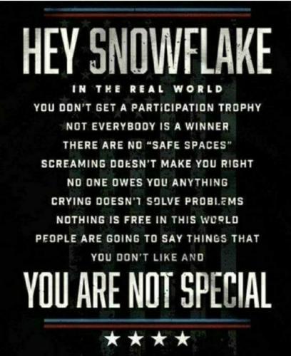 snowflake not special