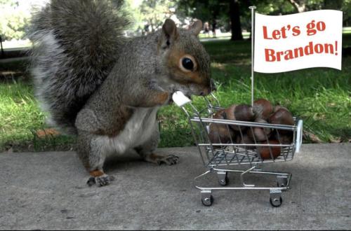 16C355CF-10D9-4C37-B825-3CFB0D3C394B