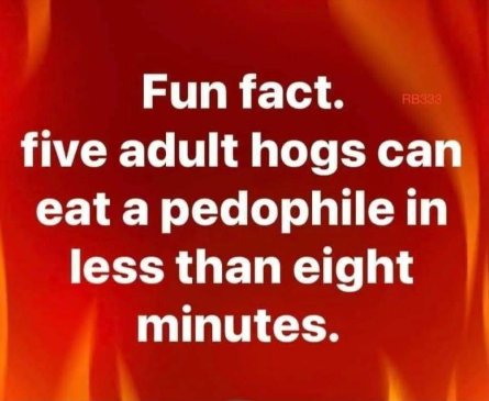 disappaering pedophile facts