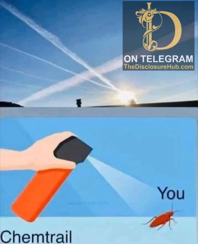 photo5125204433486064173