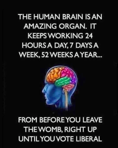 M brain