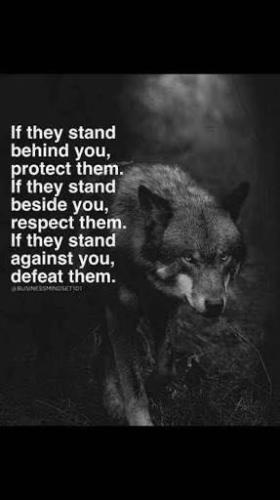 81142741-69CB-4532-8226-1A2F97F674A1