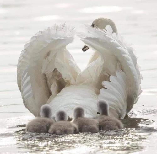 068A8F07-77FD-4C5D-BCB4-67D63A8F5E8B