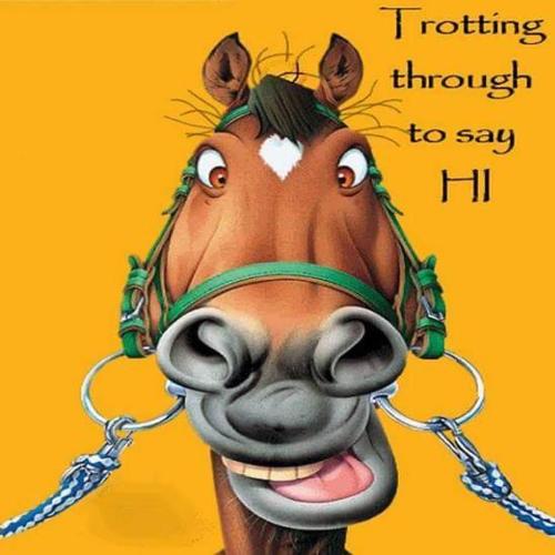 Hi - Just to say Hi 1