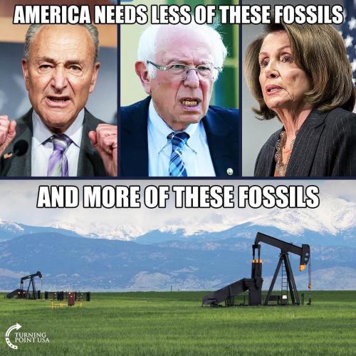 Fossils