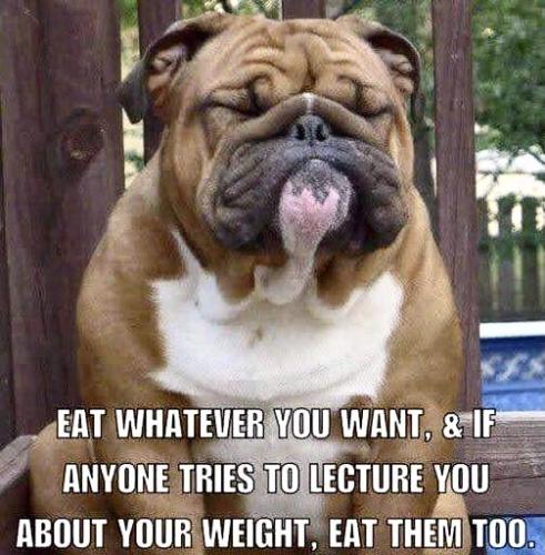 BA83F552-0D59-481A-B58B-1A5E2F913D42