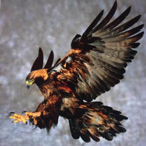 18965A57-42B9-49C2-A866-D391EA68A30F