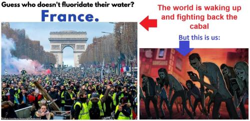 France and us