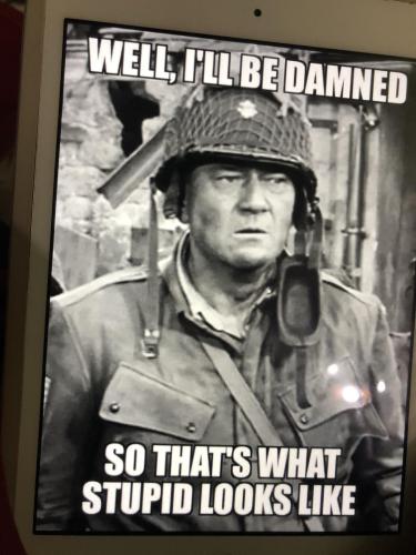 817936D8-72E9-42FD-978C-F58A511645CF