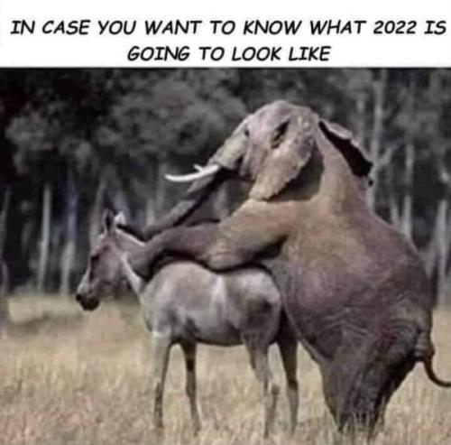 __5123145f523e4fe40549b25c4a0866a0_width-600