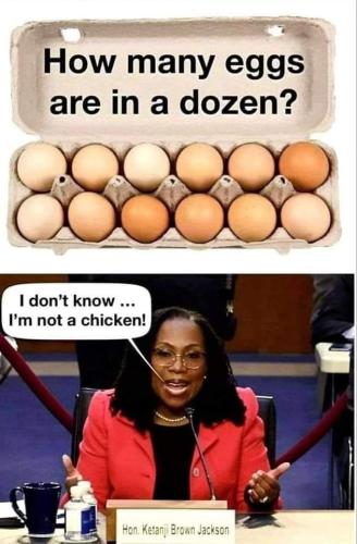 Not a chicken