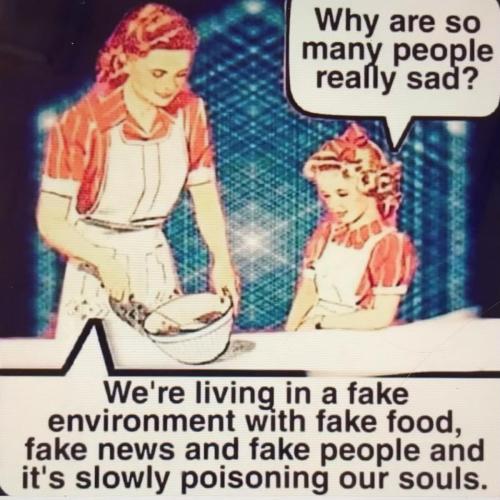 69385482-7881-442F-94BE-4ED2B8B0ED4D