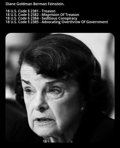 Diane Goldman Berman Feinstein