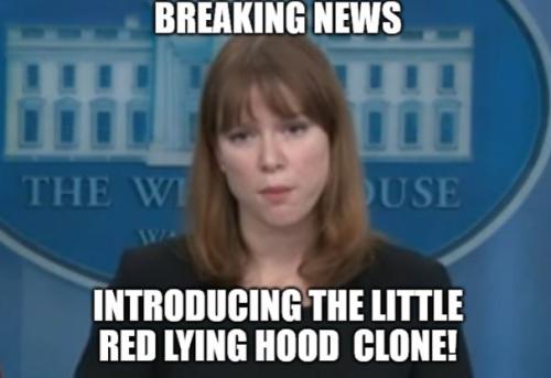 bidenlittleredlyinghoodclonewcap