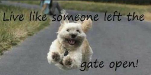 photo5127666948690258370