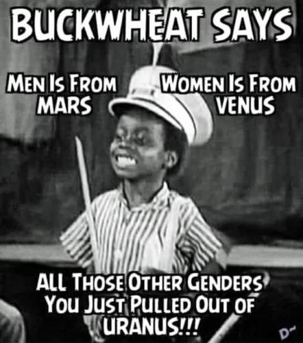 AA Buckwheat