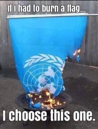 burn un flag